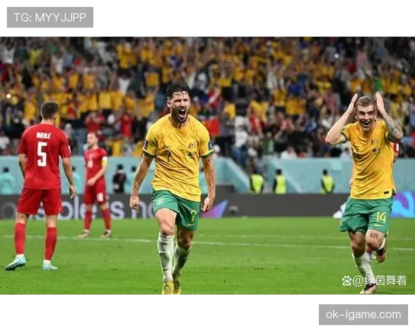 突尼斯冲击2026世界杯:北非劲旅能否突围预选赛